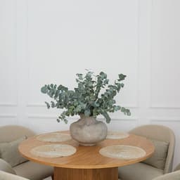 Цветы для дома. Эвкалипт. СЕТ 6510