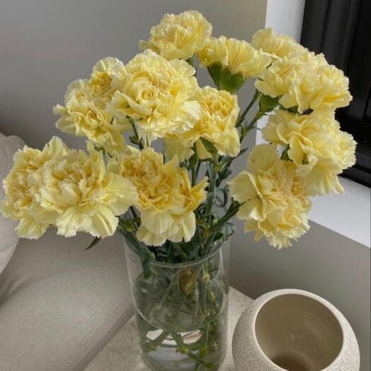 Лимонные диантусы в интерьер