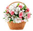 Цветы в корзине