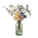 Цветы для интерьера