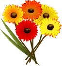 Монобукеты