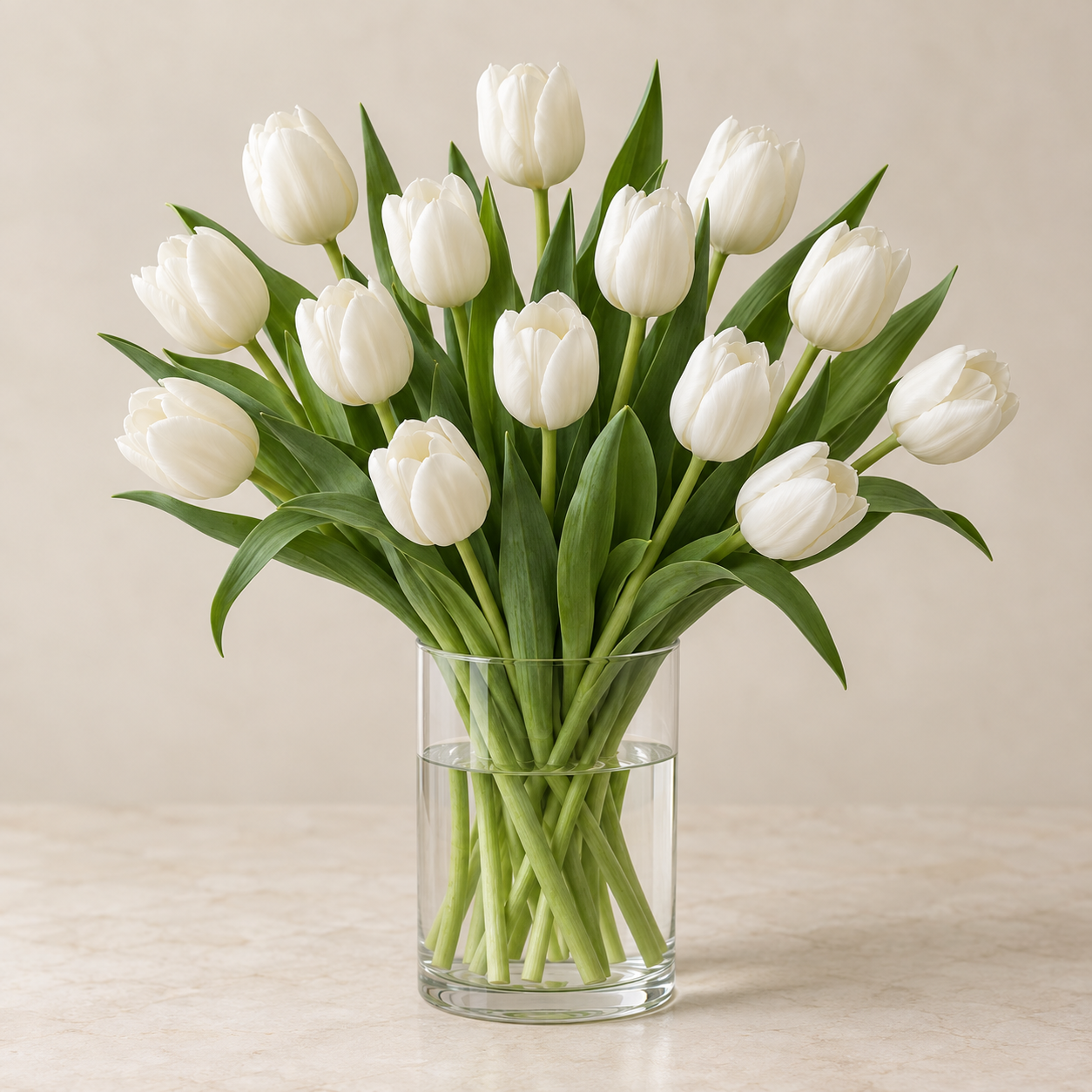 White Tulips